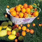 Casa Do Trapo ゲストハウス