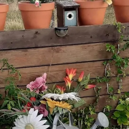 Guest house Casa Do Trapo