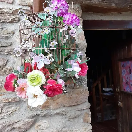 Casa Do Trapo Guest house