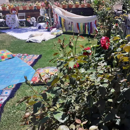 Pensjonat Casa Do Trapo Sardoal