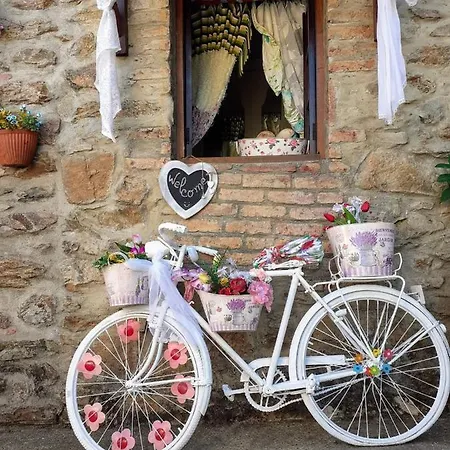 ゲストハウス Casa Do Trapo *