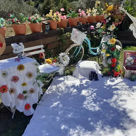 Casa Do Trapo Guest house