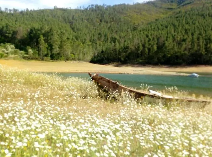ゲストハウス Casa Do Trapo Sardoal