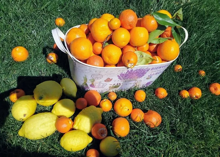 Casa Do Trapo Guest house