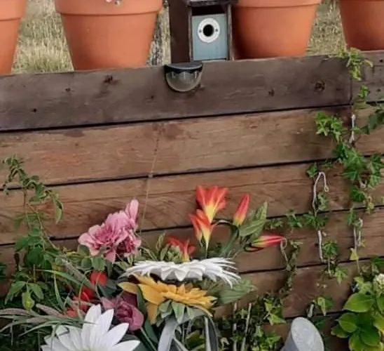 ゲストハウス Casa Do Trapo